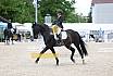 Sonntag Dressur Reiter L