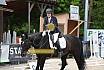 Sonntag Dressur Reiter L