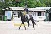 Sonntag Dressur Reiter L