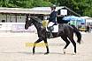 Sonntag Dressur Reiter L