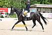 Sonntag Dressur Reiter L