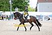 Sonntag Dressur Reiter L