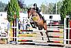Samstag Springpferde A