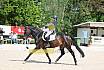 Sonntag Dressur Reiter L