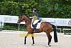 Sonntag Dressur Reiter L