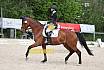 Sonntag Dressur Reiter L