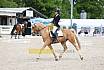 Sonntag Dressur Reiter L