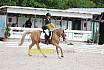 Sonntag Dressur Reiter L