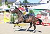 Samstag Stilspringwettbewerb