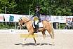 Sonntag Dressur Reiter L