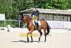 Sonntag Dressur Reiter L