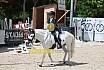 Sonntag Dressur Reiter L