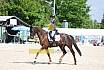 Sonntag Dressur Reiter L