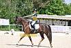 Sonntag Dressur Reiter L