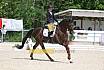 Sonntag Dressur Reiter L