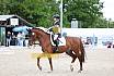 Sonntag Dressur Reiter L
