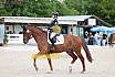 Sonntag Dressur Reiter L