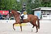 Sonntag Dressur Reiter L