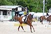 Sonntag Dressur Reiter L