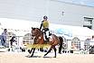 Samstag E Springen