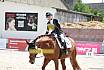Sonntag Dressur Reiter L