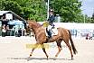 Sonntag Dressur Reiter L