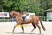 Sonntag Dressur Reiter L