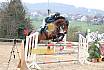 Sa L Springen