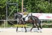 Freitag Reitpferdeprüfung