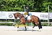 Freitag Reitpferdeprüfung