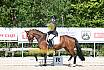 Freitag Reitpferdeprüfung