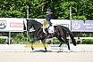 Freitag Reitpferdeprüfung