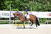 Freitag Reitpferdeprüfung