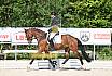 Freitag Reitpferdeprüfung
