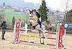 Sa L Springen