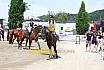 Sonntag Jump and Run 