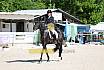 Freitag Reitpferdeprüfung