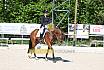 Freitag Reitpferdeprüfung