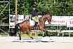 Freitag Reitpferdeprüfung