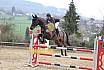 Sa L Springen