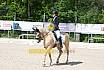 Freitag Reitpferdeprüfung