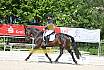 Freitag Reitpferdeprüfung