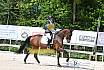 Freitag Reitpferdeprüfung
