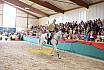 Sonntag Finale Youngster
