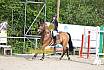 Sonntag Stilspringwettbewerb
