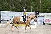 Sonntag Dressurreiter A 