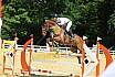 Samstag Youngster M 