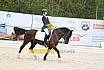 Sonntag Dressurreiter A 