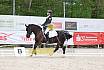 Sonntag Dressurreiter A 