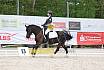 Sonntag Dressurreiter A 